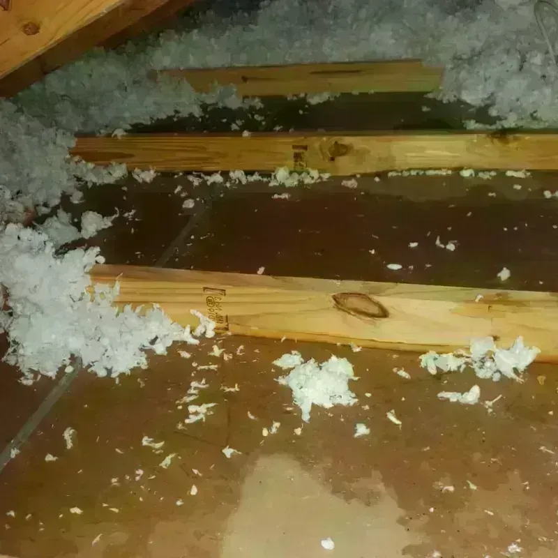 Attic Water Damage in Hydesville, CA